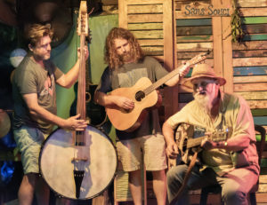 Fifty Years of Dave Wegman image